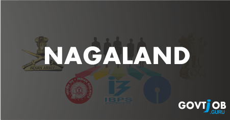 Nagaland govt Jobs